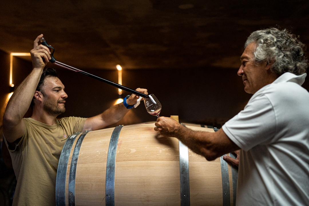 Wine culture around the world: traditions and customs from elsewhere