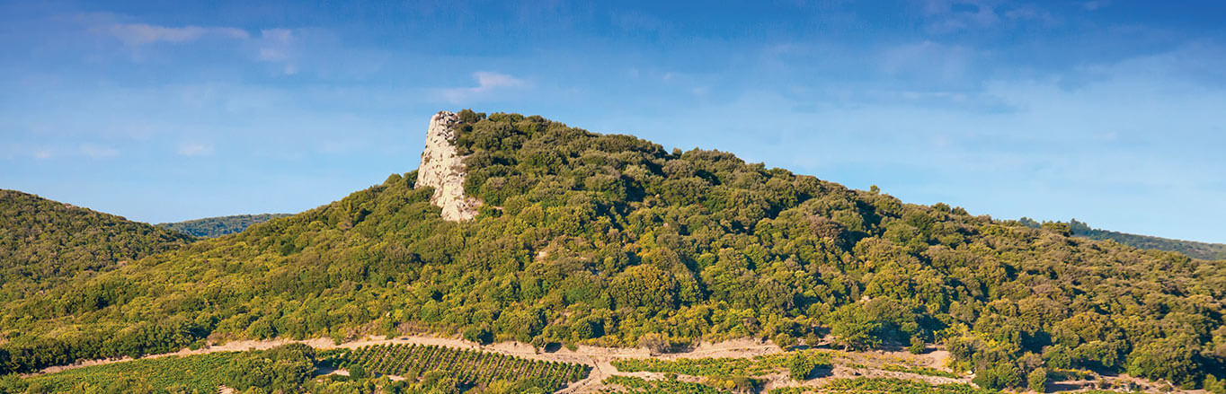 Clos du Temple