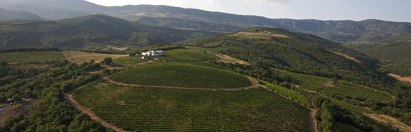 Château La Sauvageonne