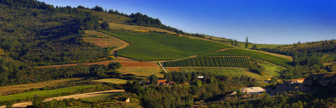 Domaine de l'Aigle