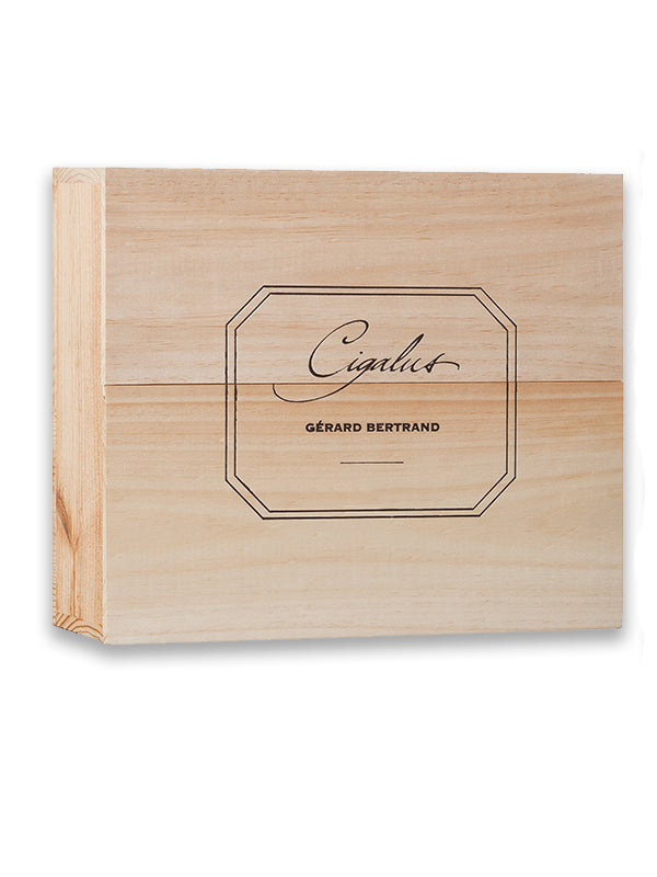 Cigalus Blanc 2023 - Wooden case of 6 bottles